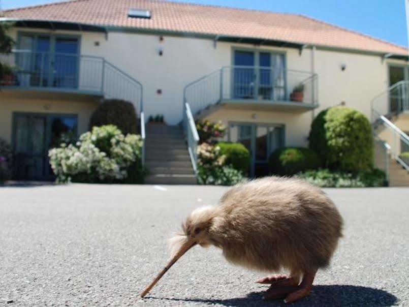 Alcala Motor Lodge Christchurch Esterno foto
